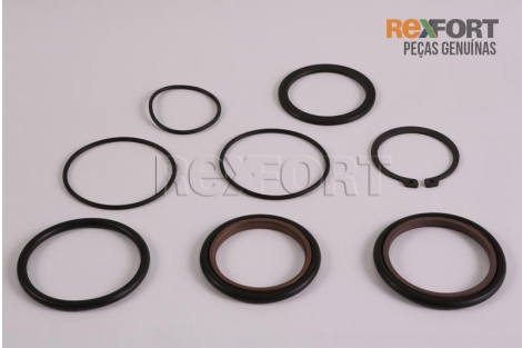 Kit de reparo cabeçote ( Pneumático )