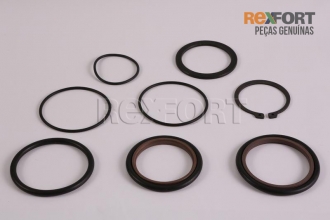 Kit de reparo cabeçote ( Pneumático )